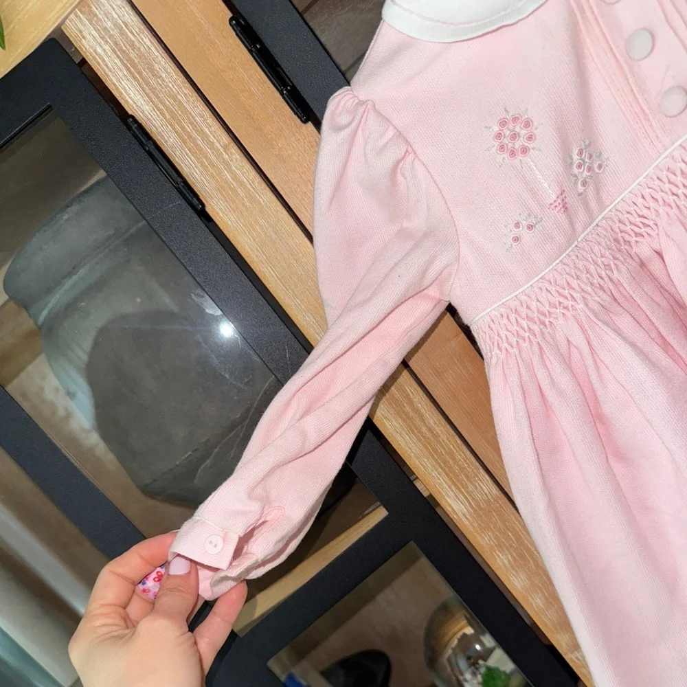 Vintage Sarah Louise dress classic embroidered collar long sleeve toddler roses